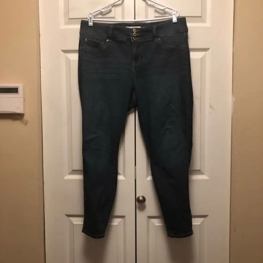 Torrid  Skinny Jeans